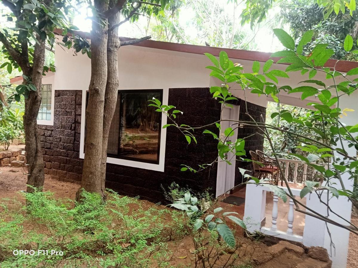 Namaste Yoga Farm Villa Gokarna  Kültér fotó