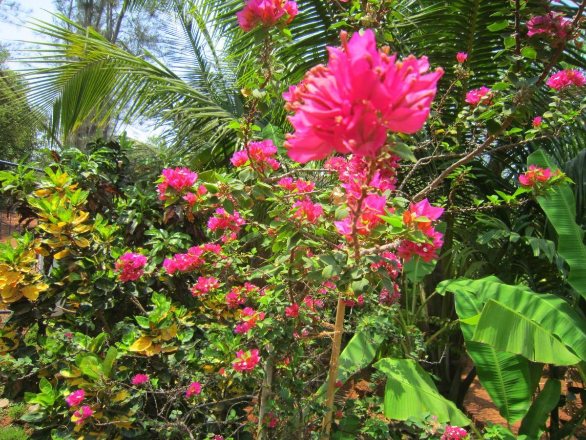 Namaste Yoga Farm Villa Gokarna  Kültér fotó